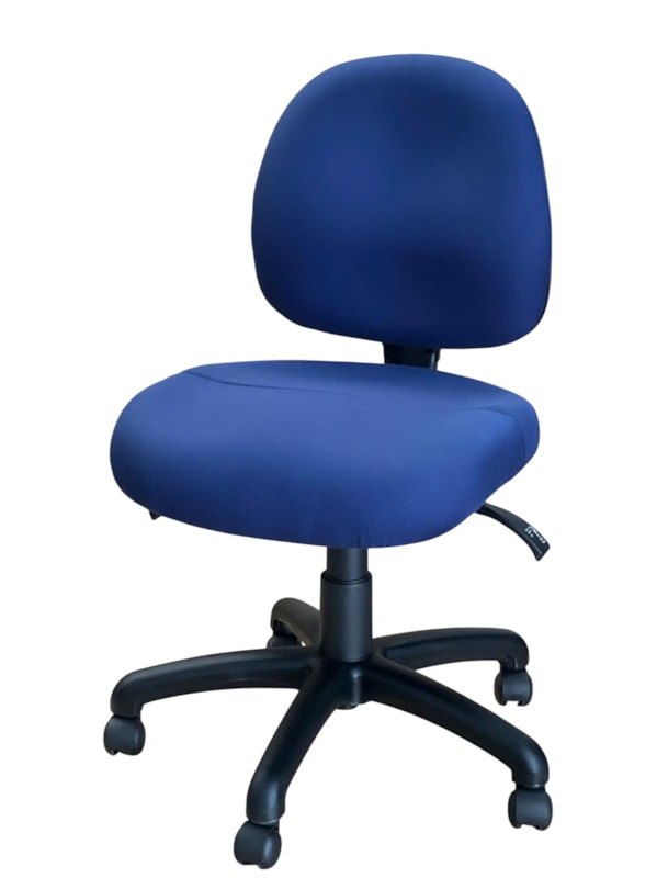 Ovica Medium Back Ergonomic Office Chair